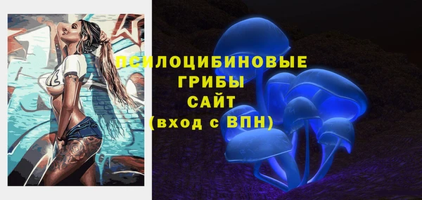 круглые Алексеевка